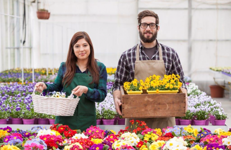 retail flowers