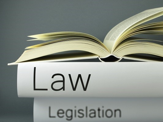 Law Legislation Small