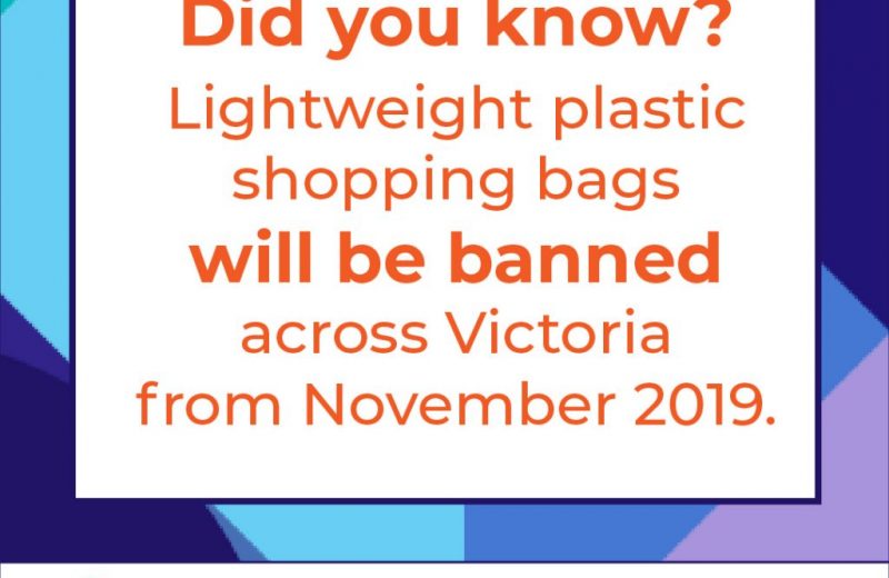 bag ban in Victoria from november