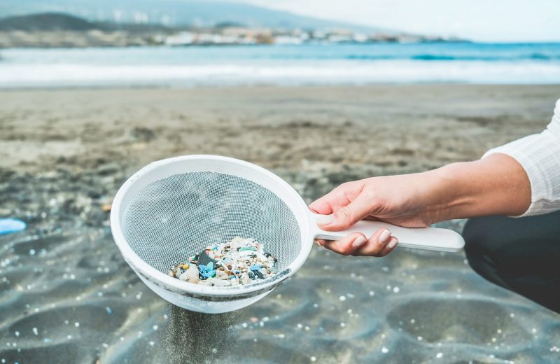 Microplastic Pollution